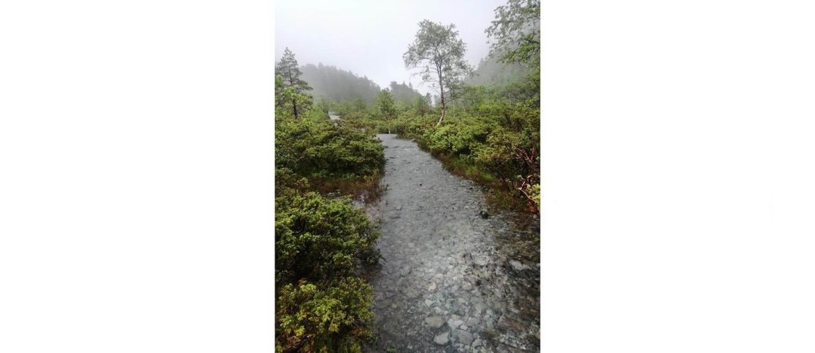This is a photo I shot in Bergen 2019. We went cycling on the mountains but it started to rain (classic Norway) and the bike track was full of water. We still crossed it.