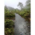 This is a photo I shot in Bergen 2019. We went cycling on the mountains but it started to rain (classic Norway) and the bike track was full of water. We still crossed it.