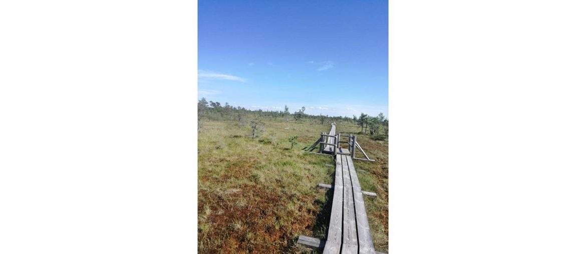 Use psychology: index This is a picture I took in Riga in 2019. I went for a big walk in a nearby lake.