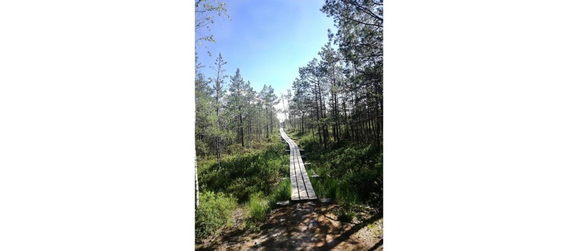 Self improvement: index This is a picture I took in Riga in 2019 when I went for a walk close to a lake.