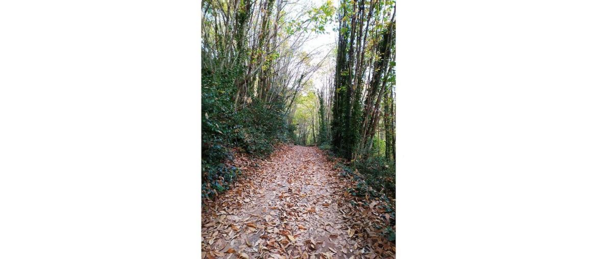 Read body language: index This is a picture I took in Greece in 2019. I went for a walk next to a monastery.