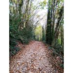 This is a picture I took in Greece in 2019. I went for a walk next to a monastery.