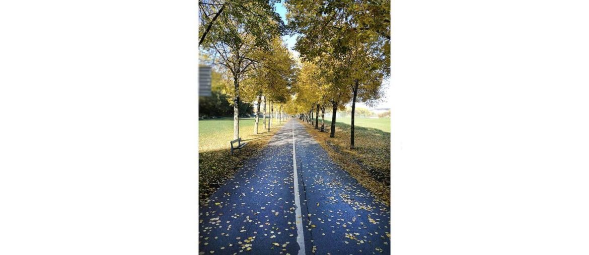 Connect with people: index This is a picture I took in Stockholm in 2018. It is a bike lane on my way home.