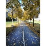 This is a picture I took in Stockholm in 2018. It is a bike lane on my way home.