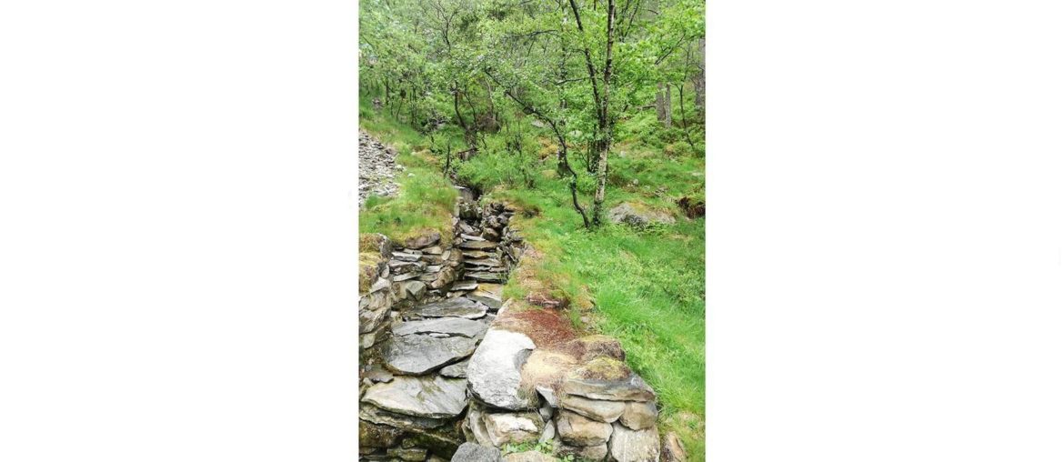 Entrepreneurship: index This is a picture I took in Bergen in 2019. I was going up the mountain.