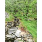 This is a picture I took in Bergen in 2019. I was going up the mountain.