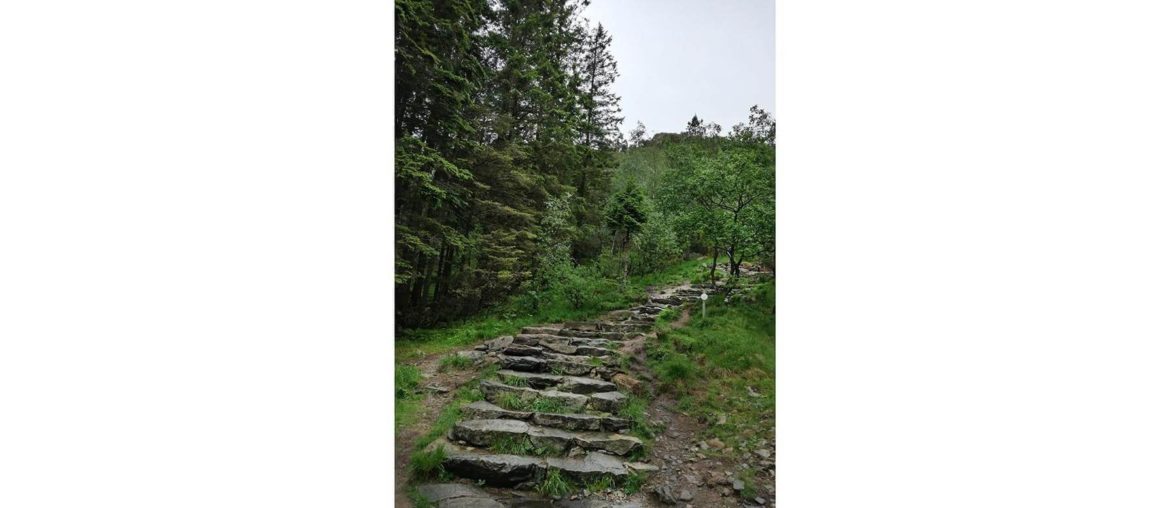 This is a picture I took in Bergen in 2019. I was going up the mountain in a green setting.