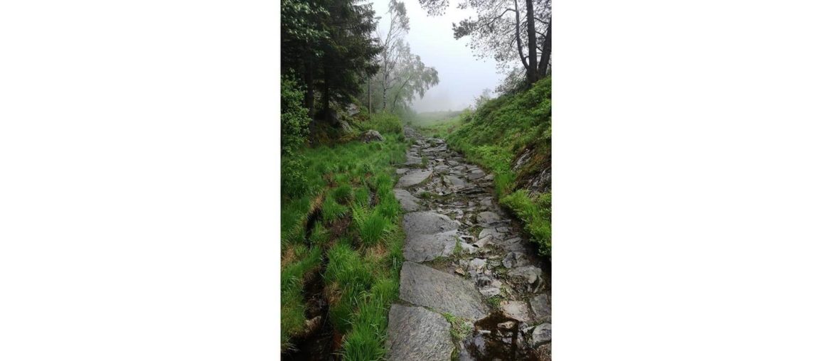 This is a photo I shot in Bergen 2019 when I was hiking to a nearby mountain.