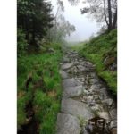 This is a photo I shot in Bergen 2019 when I was hiking to a nearby mountain.