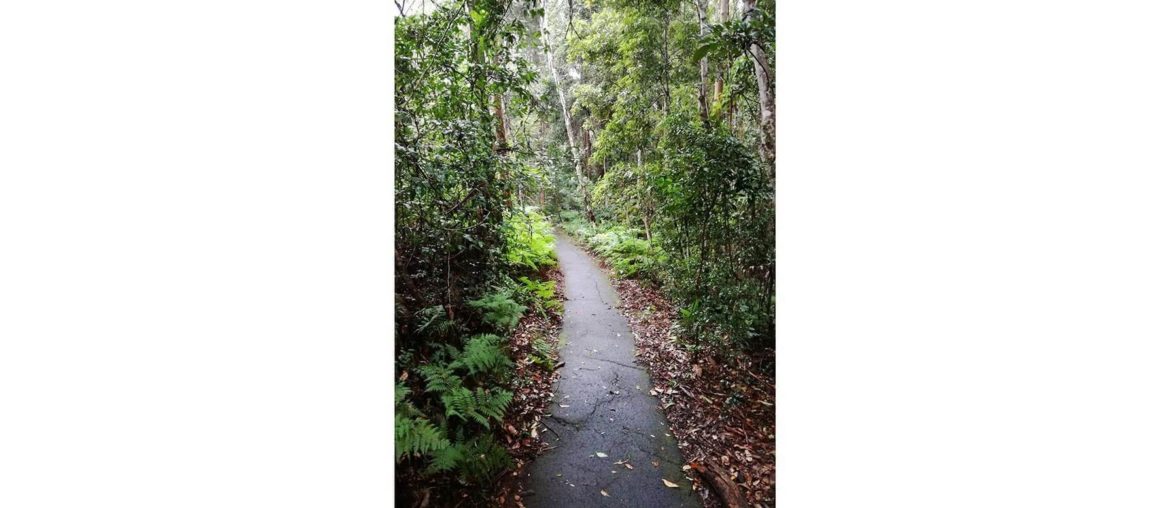 Spirituality: index This is a picture I took in New Zealand in 2018 when I went for a hike close to Queensland.
