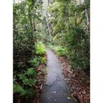 This is a picture I took in New Zealand in 2018 when I went for a hike close to Queensland.