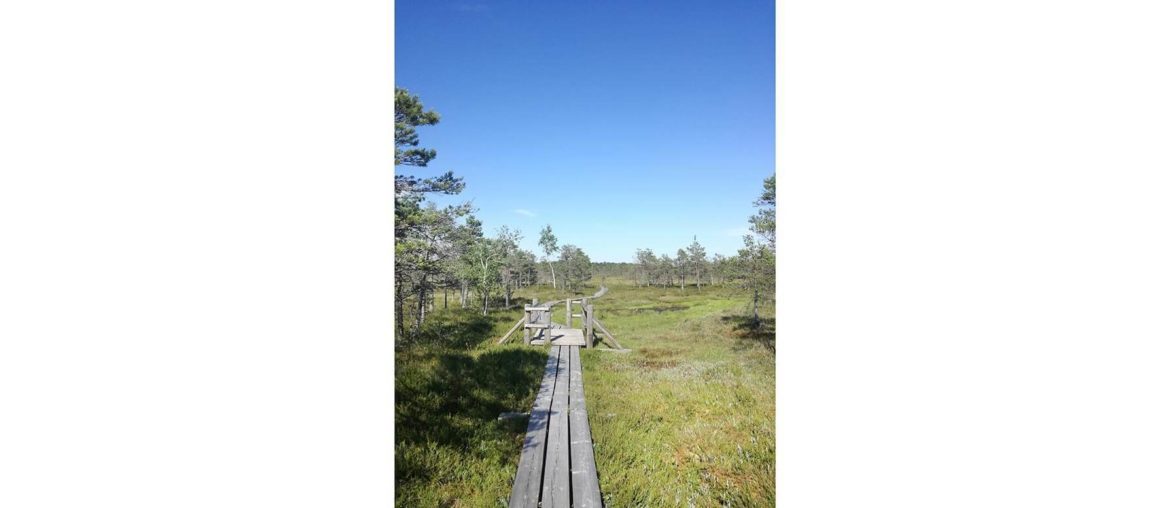 Life lessons: index This is a picture I took in Riga in 2019 when I went for a hike in a nearby lake area.