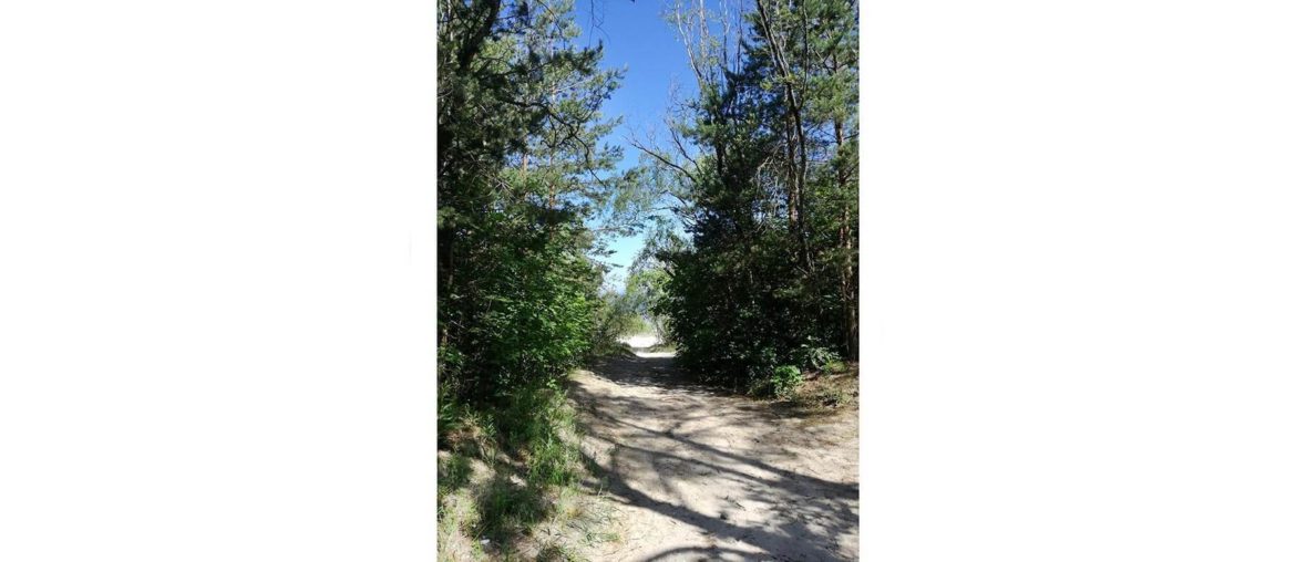 Creativity: index This is a photo I took in Riga 2019 when I was hiking to a nearby forest.