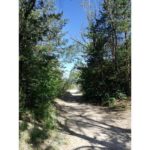 This is a photo I took in Riga 2019 when I was hiking to a nearby forest.