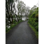 This is a photo I shot in Bergen 2019 when we went cycling on the mountains.