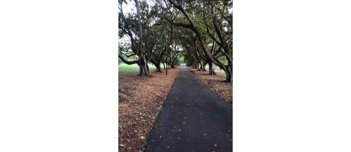 Discover cultures: index This is a picture I took in Melbourne in 2018. It is a bike lane when I was cycling the Great Ocean Road.