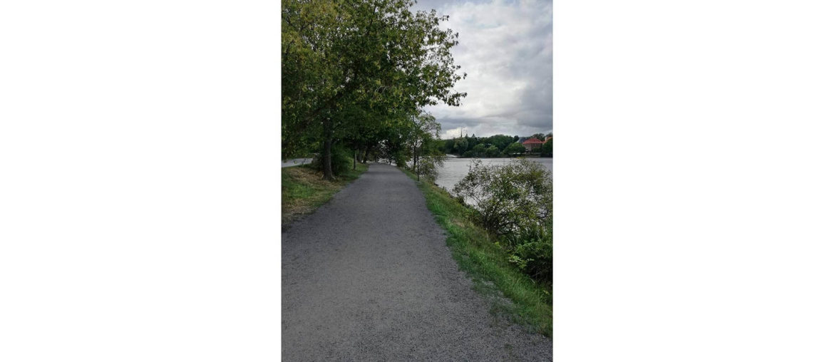 This is a picture I took in Stockholm in 2018. I was walking next to the river in one park.