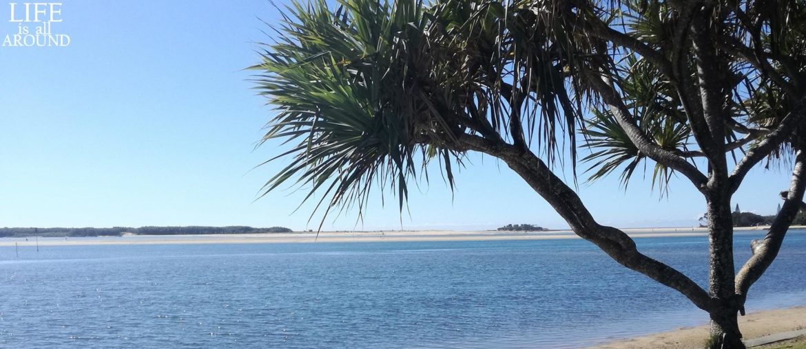 With what would you be content in life? This is a picture I took in Brisbane in 2018. I was enjoying the view of the water.
