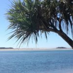 This is a picture I took in Brisbane in 2018. I was enjoying the view of the water.