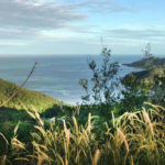 This is a picture I have taken in Fiji in 2018. I was hiking in a mountain in one of the islands.