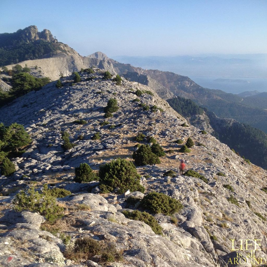 This is a photo of a mountain in Thassos, Grrece I took in 2016 when hiking