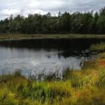 This is a photo I took in a lake close to Stockholm in 2018