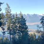 This is a photo I took in New Zealand, when I was hiking through the forest by Queenstown