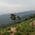 This is a photo I took when hiking in the area outside my village in Thassos