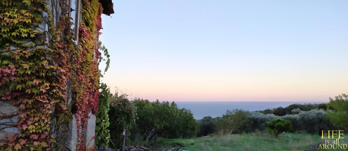 This is sunset time in the wild. Agio Oros 2019