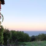 This is sunset time in the wild. Agio Oros 2019