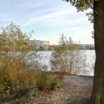 A photo of the lake in Stockholm from a garden, shot in 2019