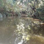 This is a small lake which I took photo when hiking in Brisbane in 2018 June