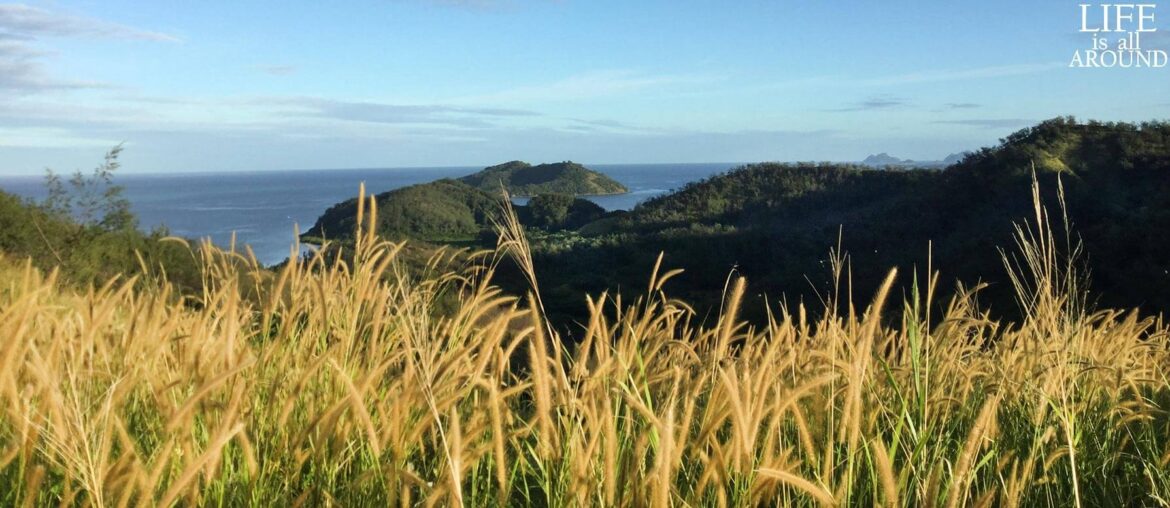 Body and mind: to be or not to be Another photo from a hike in a Fiji island overlooking another island on the distance above some yellow grass.
