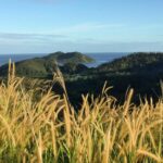 Another photo from a hike in a Fiji island overlooking another island on the distance above some yellow grass.