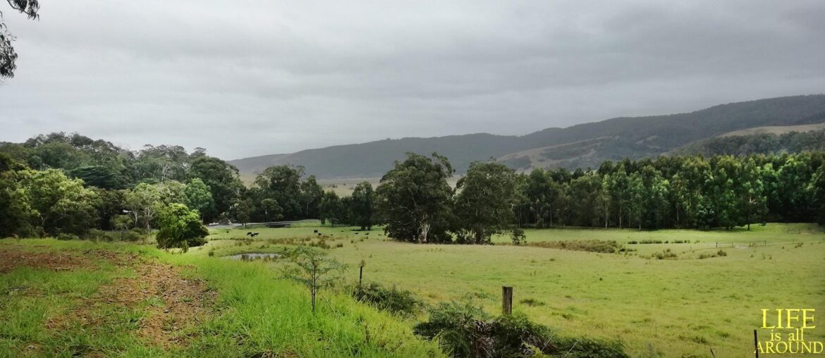 fields melbourne in 20018