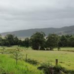 fields melbourne in 20018