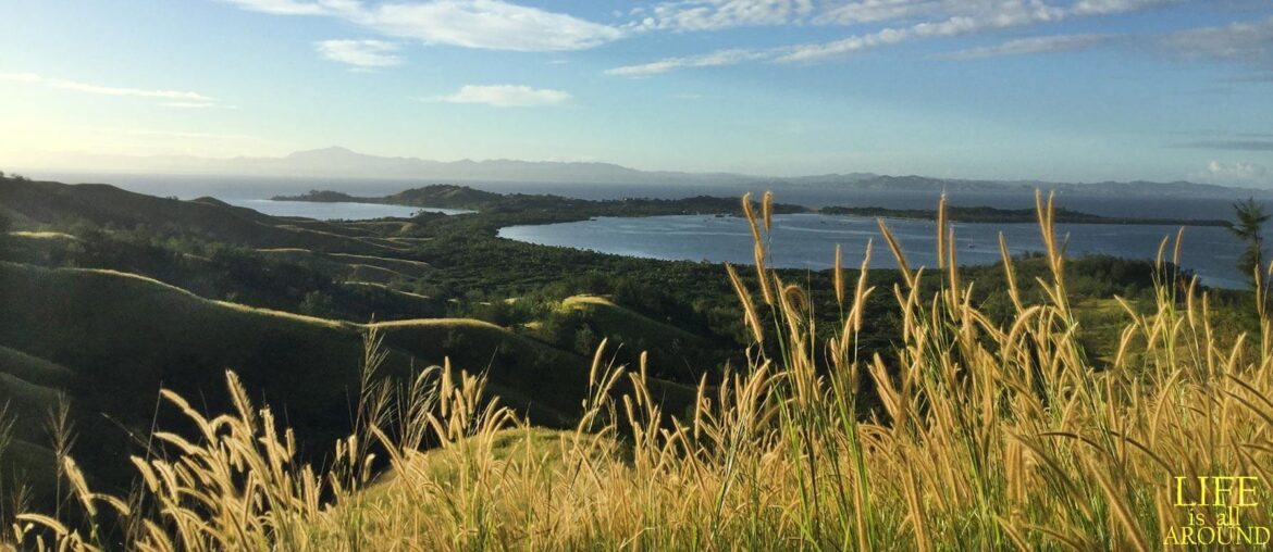 Who am I? view from grass fiji 2018