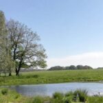 field copenhagen with a small lake-like water source surrounded by trees in the spring of 2019