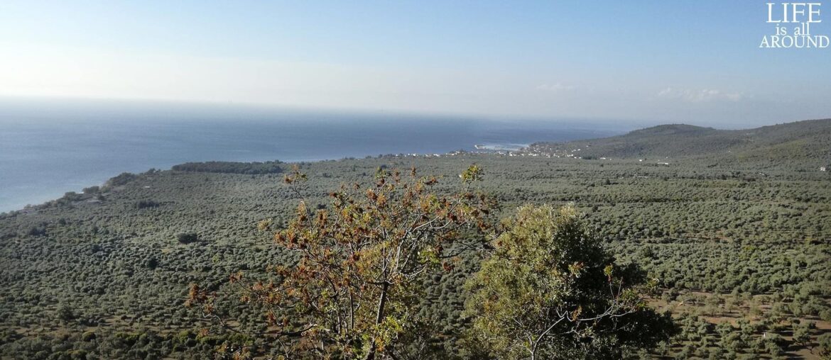 Involvement, the way of life: what does it mean? involvement meaning view from above hike plaka in spring 2019