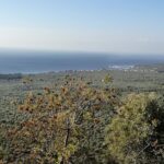 involvement meaning view from above hike plaka in spring 2019