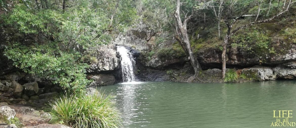 Find your personality: the first step find personality waterfall brisbane 2018