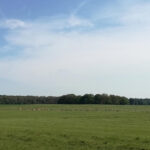 problem distance solution field Copenhagen 2019