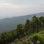political-systems-view-from-above-path-plaka-thassos-2018-