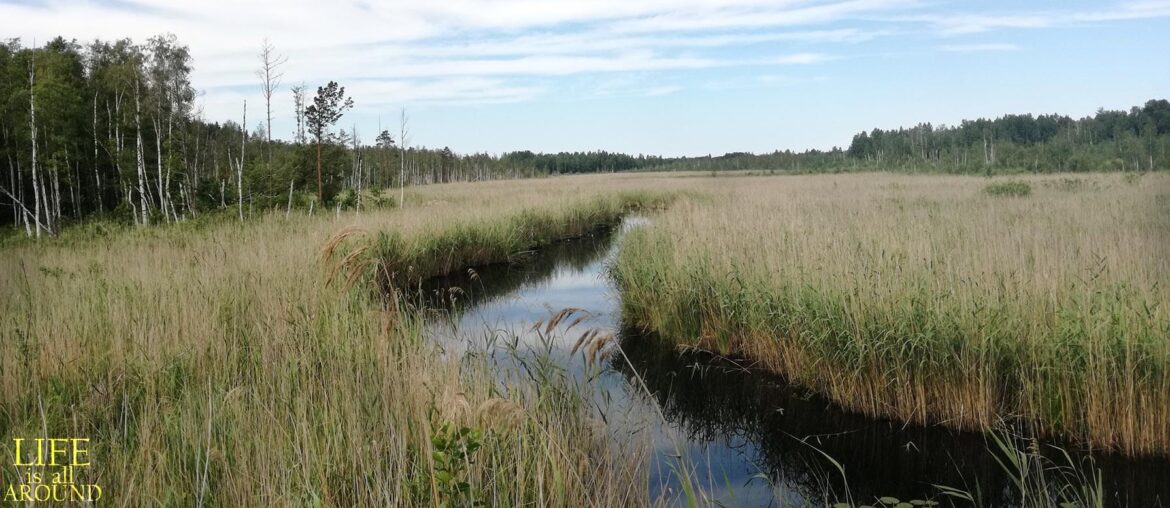 The six needs: Understand your model of the world six needs model of the world water riga 2019