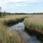 six needs model of the world water riga 2019