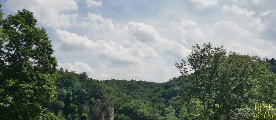 redefining comfort zone green krakow 2019