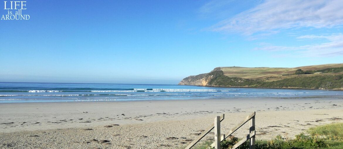 Taoism method beack somewhere in australia 2018