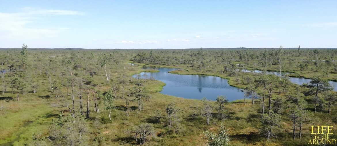 How to define your Truth how to define your truth view from above riga 2019