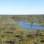how to define your truth view from above riga 2019