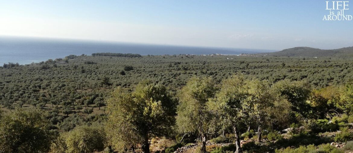 The benefits of taking breaks. Productivity booster Taking breaks productivity view above plaka 2019